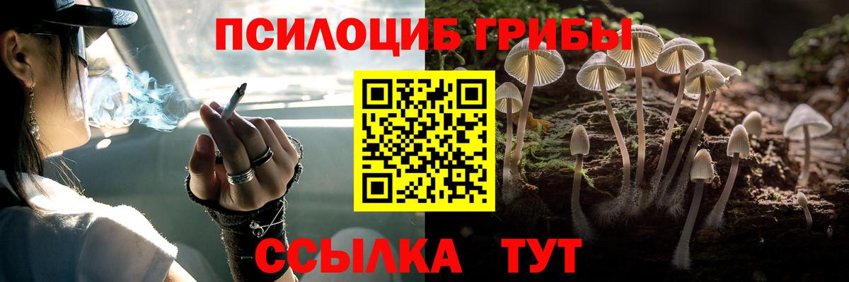 Галлюциногенные грибы Psilocybe  Вход с VPN  Псилоцибиновые грибы мицелий  купить наркотик  Тайшет 